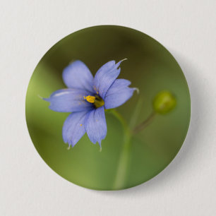 Macaron Rond 7,6 Cm Bouton floral de fleur sauvage d'herbe observé pa