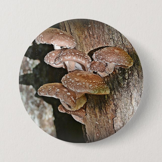 Macaron Rond 7,6 Cm Bouton Grand Champignons (Devant)