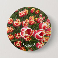 Bouton Holland du champ de tulipe rouge et blanc