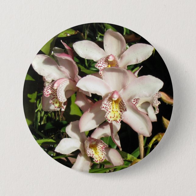 Macaron Rond 7,6 Cm Bouton Orchidées du Cymbidium (Devant)