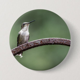 Macaron Rond 7,6 Cm Bouton Petit Colibri