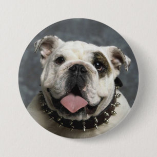 Macaron Rond 7,6 Cm Bouton rond de bouledogue de photo anglaise de