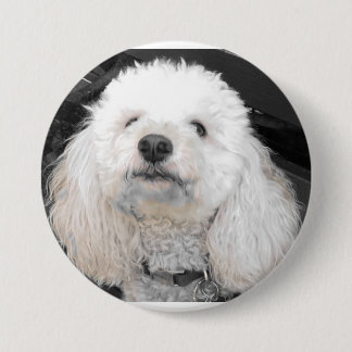 Macaron Rond 7,6 Cm Boutons de chien MaltiPoo