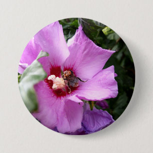 Macaron Rond 7,6 Cm Bumblebebe sur la fleur d'Hibiscus