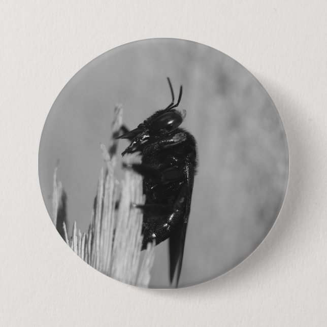 Macaron Rond 7,6 Cm Bumblebee (Devant)