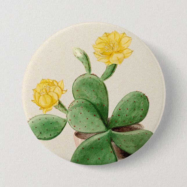 Macaron Rond 7,6 Cm Cactus 2 (Devant)