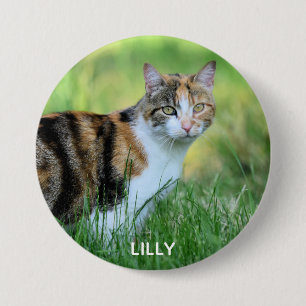 Macaron Rond 7,6 Cm Chat Brown et blanc