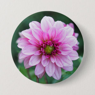 Macaron Rond 7,6 Cm Dahlia