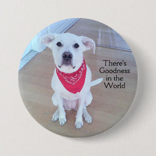 Macaron Rond 7,6 Cm Douce Chien Chien Chien Chien Visage Bonté dans le