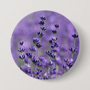 Macaron Rond 7,6 Cm Fleurs de lavande mignonne violet