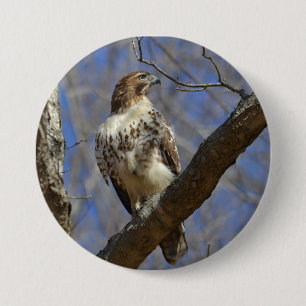 Macaron Rond 7,6 Cm Hawk Majestic