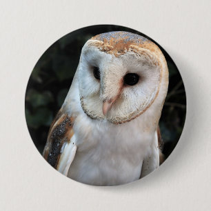 Macaron Rond 7,6 Cm Hibou de grange blanc