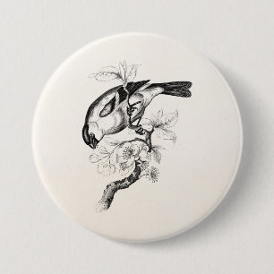 Macaron Rond 7,6 Cm Illustration vintage d'oiseau de bouvreuil de