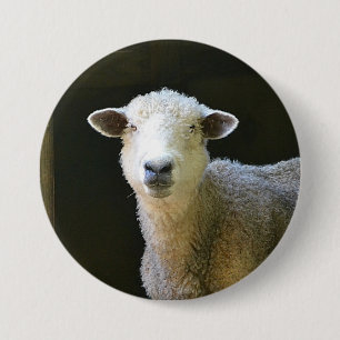 Macaron Rond 7,6 Cm Mouton de campagne
