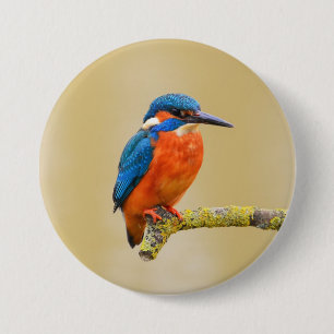 Macaron Rond 7,6 Cm Oiseau orange bleu de martin-pêcheur