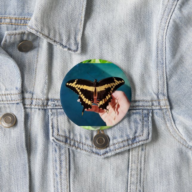 Macaron Rond 7,6 Cm Papillon swallowtail géant (En situation)