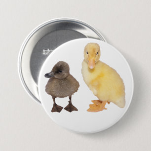 Macaron Rond 7,6 Cm Photographie grise et jaune adorable de caneton