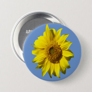 Macaron Rond 7,6 Cm Poussière de tournesol. Bouton Couleur BG