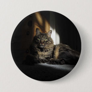 Macaron Rond 7,6 Cm Rubans de chat de Kimber de bouton de lumière du
