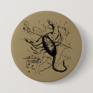 Macaron Rond 7,6 Cm Scorpio Constellation Hevelius vers 1690 Vintage