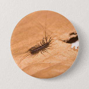 Macaron Rond 7,6 Cm Scutigère