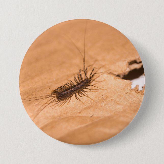 Macaron Rond 7,6 Cm Scutigère (Devant)