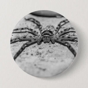 Macaron Rond 7,6 Cm Spider Huntsman
