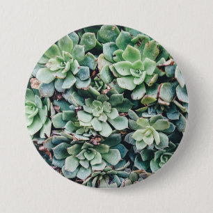 Macaron Rond 7,6 Cm Succulents 2