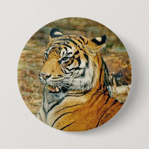 Macaron Rond 7,6 Cm Tigre