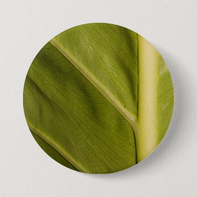 Macaron Rond 7,6 Cm Vert 01 (Devant)
