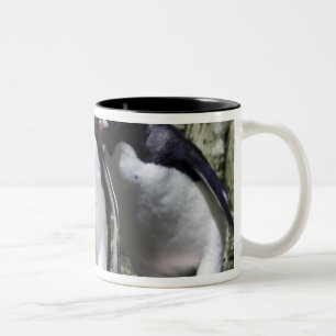 Macaroni Penguins, South Georgia Two-Tone Coffee Mug