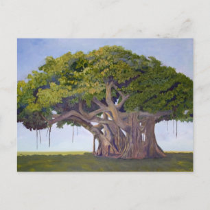 MacArthur's Banyan Postcard