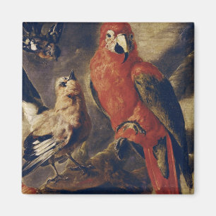 Macaw and Bullfinch Magnet