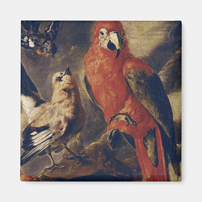 Macaw and Bullfinch Magnet (Front)