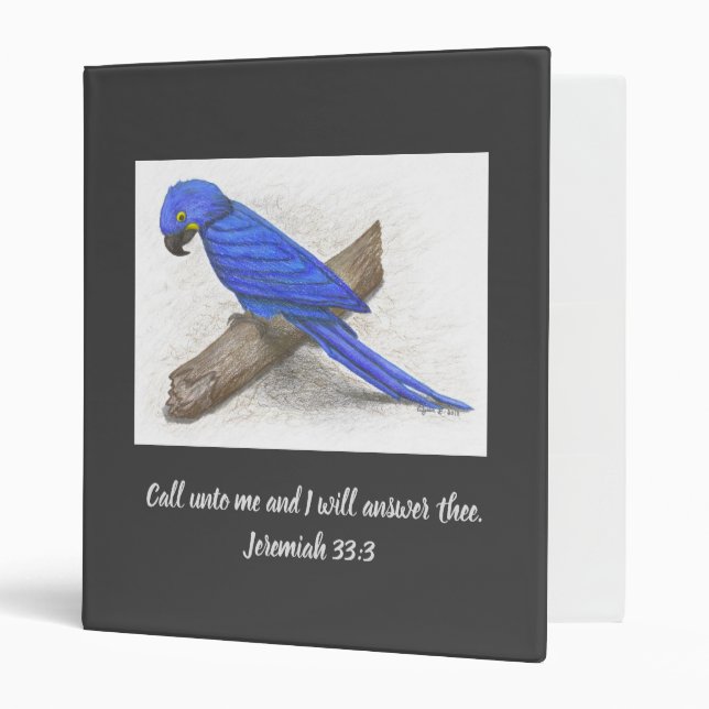 Macaw Avery Classeur (Devant/intérieur)