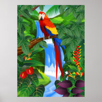Macaw bird illustration