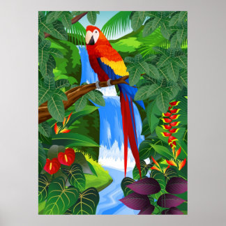 Macaw bird illustration poster