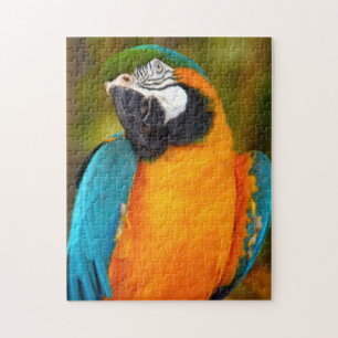 Macaw Bird Puzzle