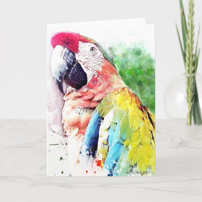 Macaw Blank Greeting Card (Front)