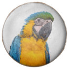 Macaw bleu et or