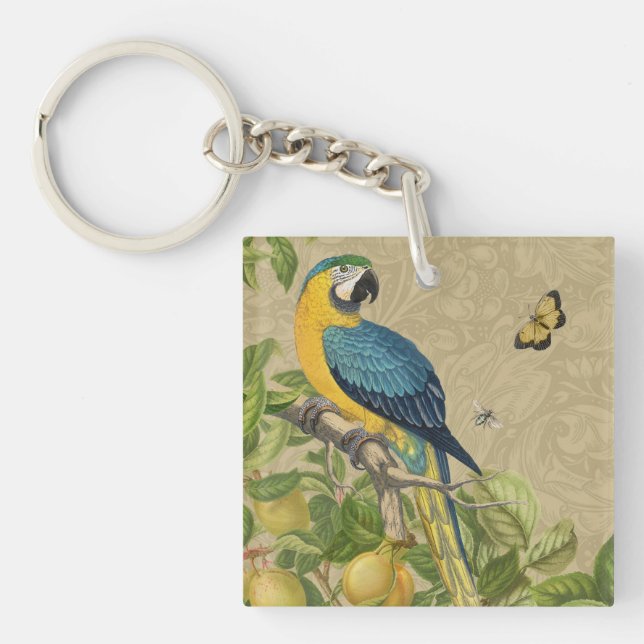 Macaw Blue Jaune Tropical Jungle Antique (Devant)