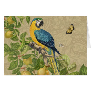 Macaw Blue Jaune Tropical Jungle Antique