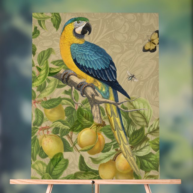 Macaw Blue Jaune Tropical Jungle Antique (Neutre)