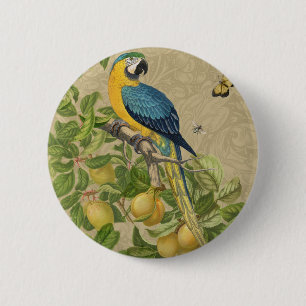 Macaw Blue Yellow Tropical Jungle Antique 2 Inch Round Button