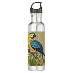 Macaw Blue Yellow Tropical Jungle Antique 710 Ml Water Bottle