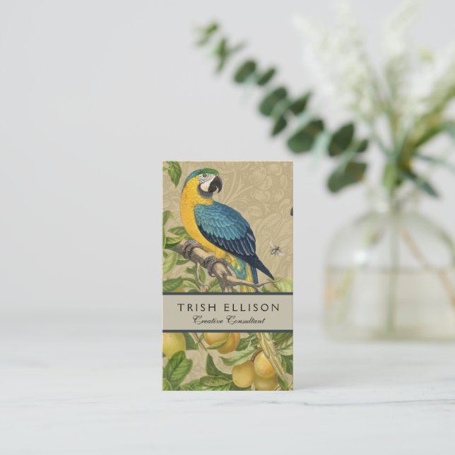 Macaw Blue Yellow Tropical Jungle Antique Business Card (Standing Front)