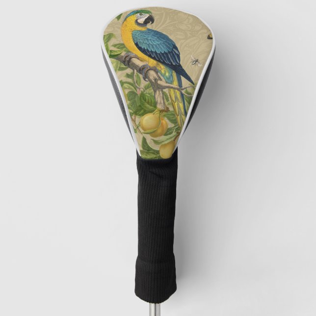 Macaw Blue Yellow Tropical Jungle Antique Golf Head Cover (Front)