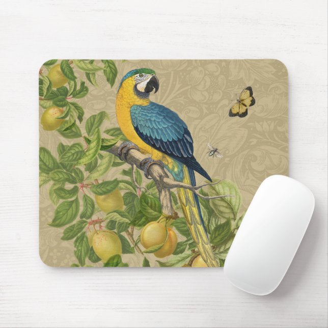 Macaw Blue Yellow Tropical Jungle Antique Mouse Pad (With Mouse)