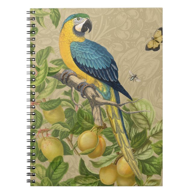 Macaw Blue Yellow Tropical Jungle Antique Notebook (Front)