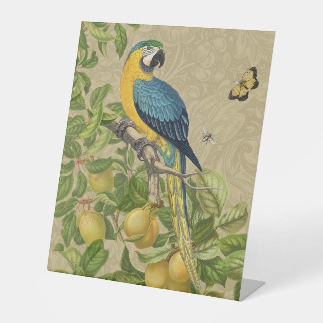 Macaw Blue Yellow Tropical Jungle Antique Pedestal Sign (Front)
